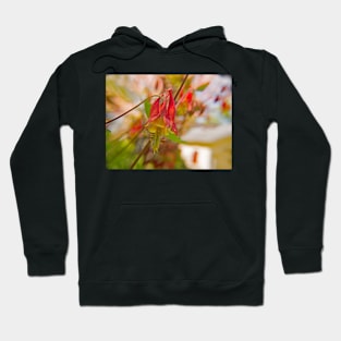 Native Red Columbine Hoodie